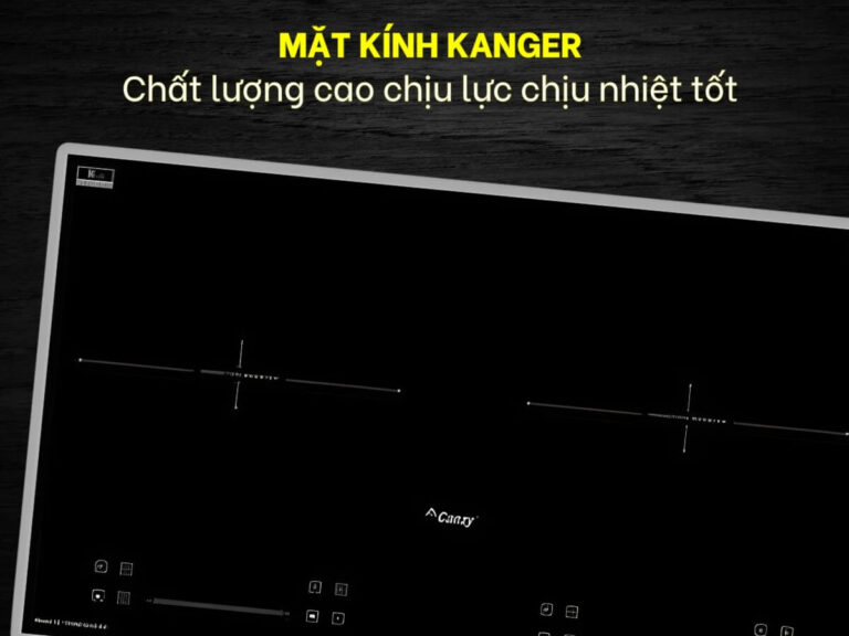 Bếp Từ 2 Vùng Nấu CANZY CZ PID369 SERIAL 8.0