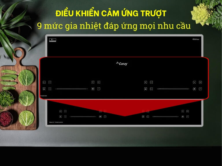 Bếp Từ 2 Vùng Nấu CANZY CZ PID369 SERIAL 8.0