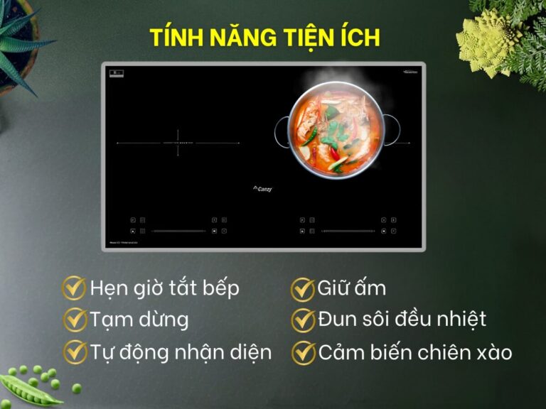 Bếp Từ 2 Vùng Nấu CANZY CZ PID369 SERIAL 8.0